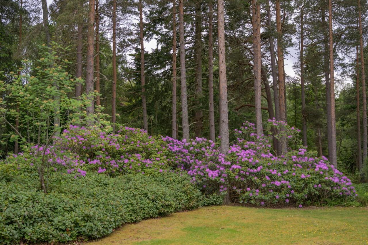 Haven Retreat Scotland - Large 4 Bed House With Woodland Garden, ,royal Deeside *