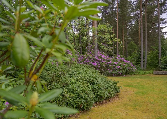 Haven Retreat Scotland - Large 4 Bed House With Woodland Garden, Aboyne ,Royal Deeside