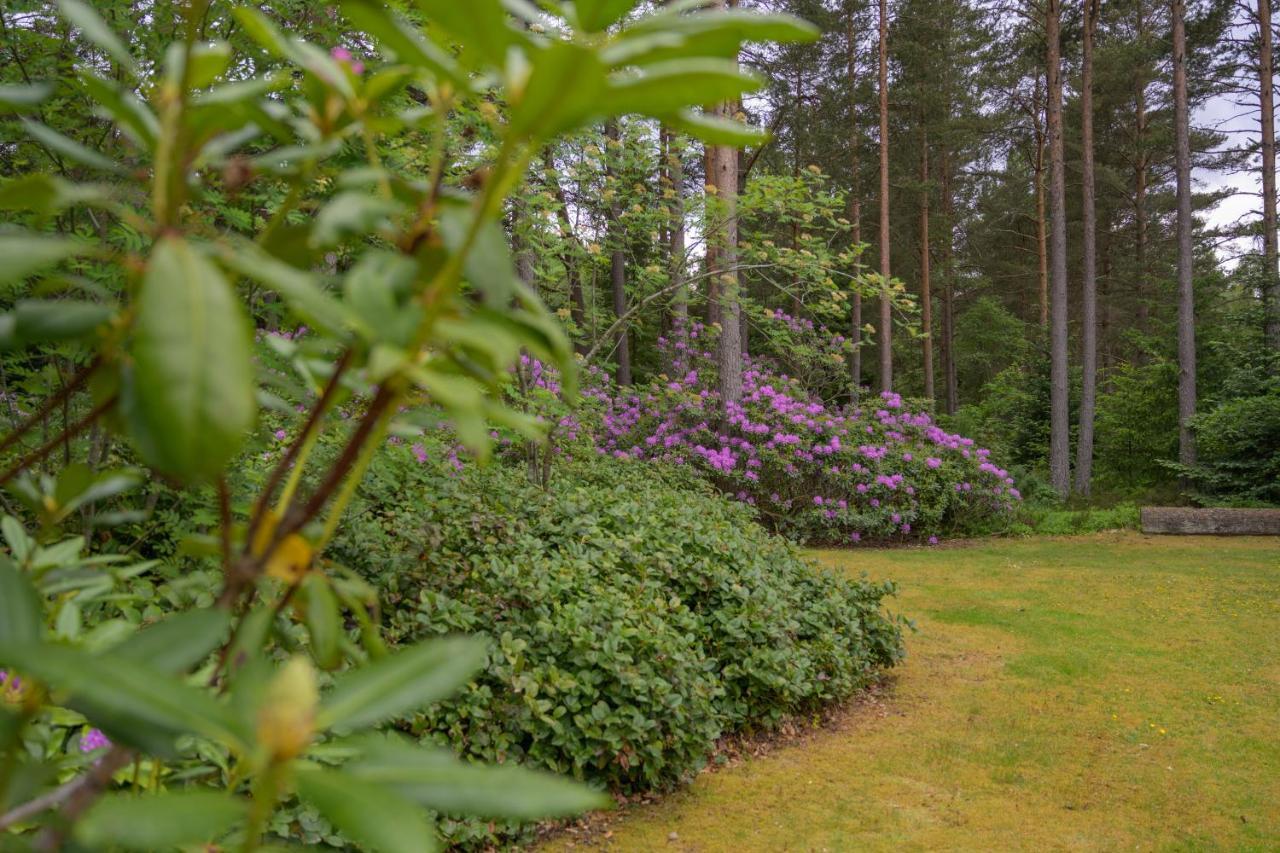 Holiday home Haven Retreat Scotland - Large 4 Bed House With Woodland Garden, ,royal Deeside