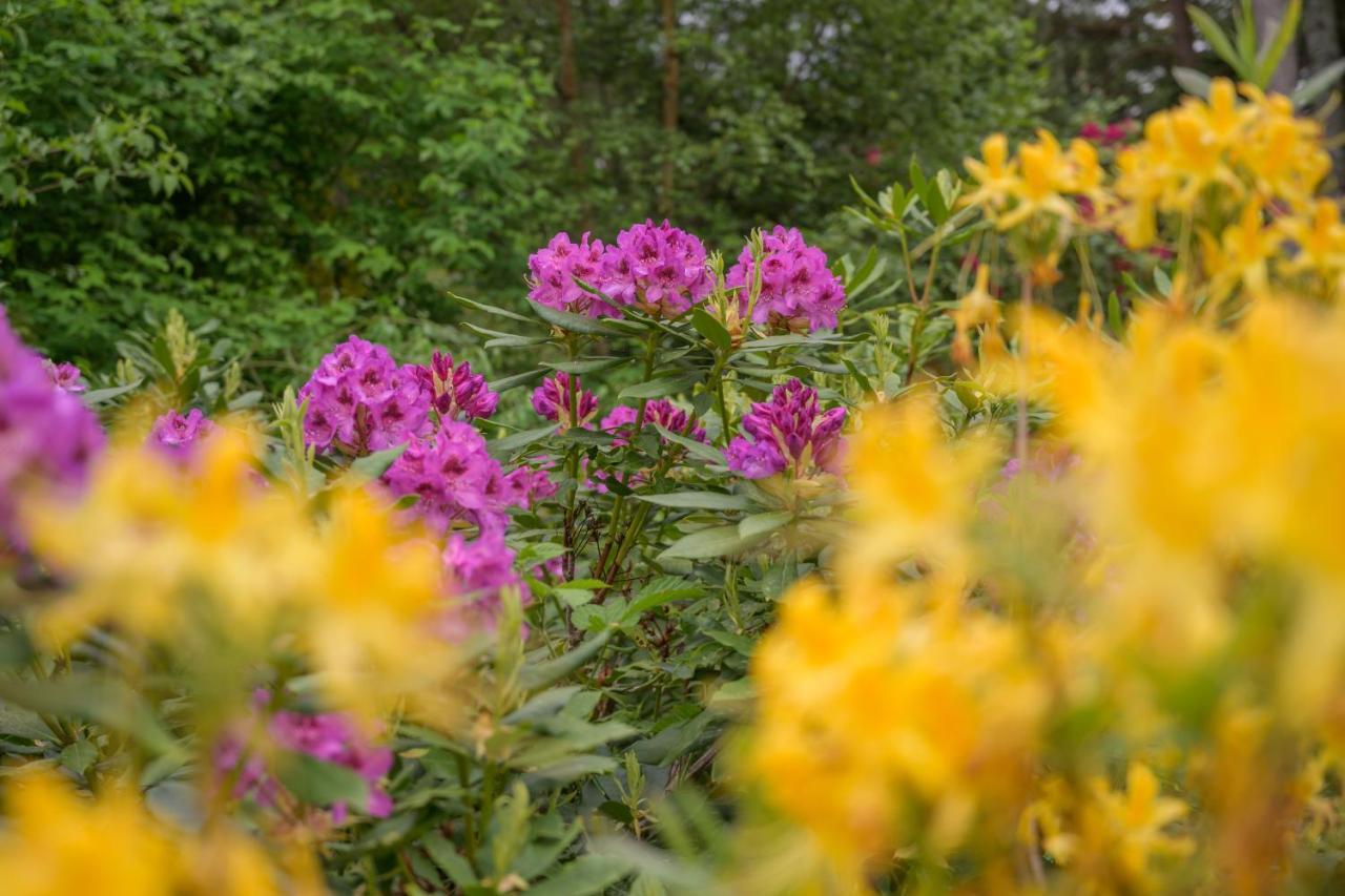 Haven Retreat Scotland - Large 4 Bed House With Woodland Garden, ,royal Deeside Holiday home